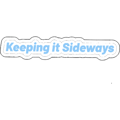Car Bumper Sticker Sayings Bundle - L3B LABS5 inch
