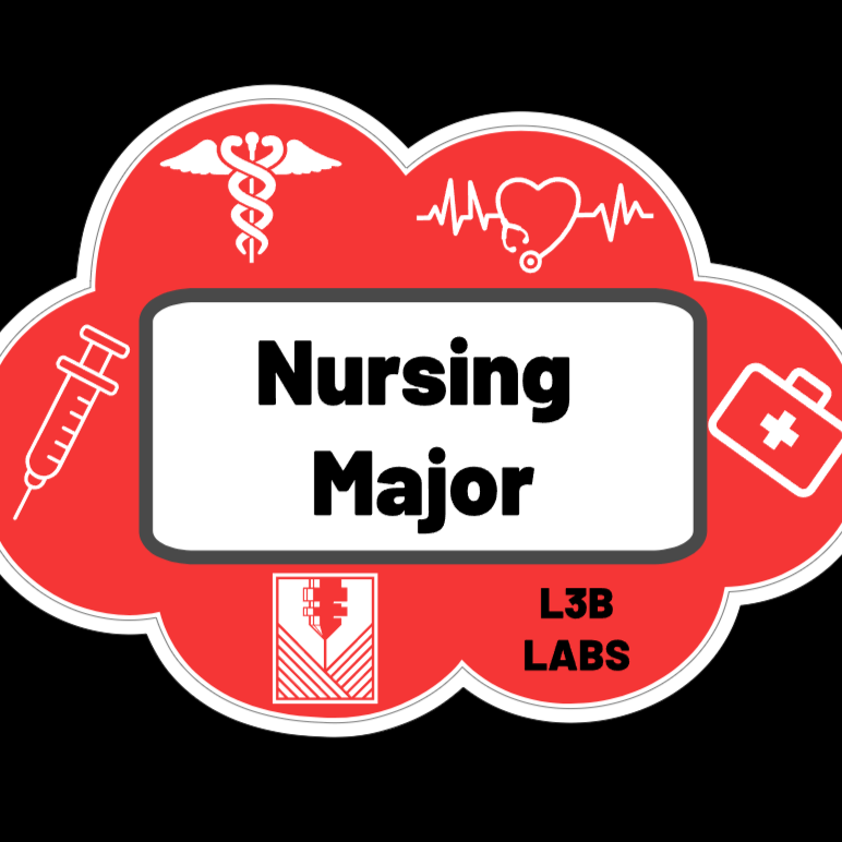 Major Stickers Bundle - L3B LABS252 inch